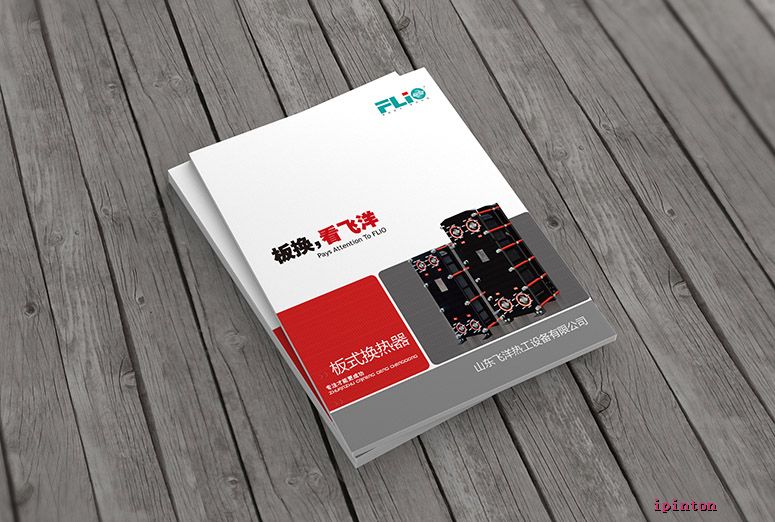 飞洋板换2