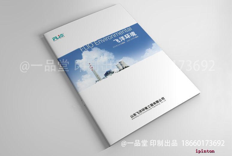 飞洋环境-烟气样本