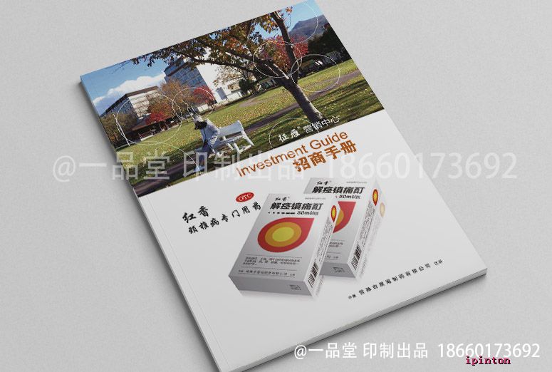 鲁抗-征雁招商手册
