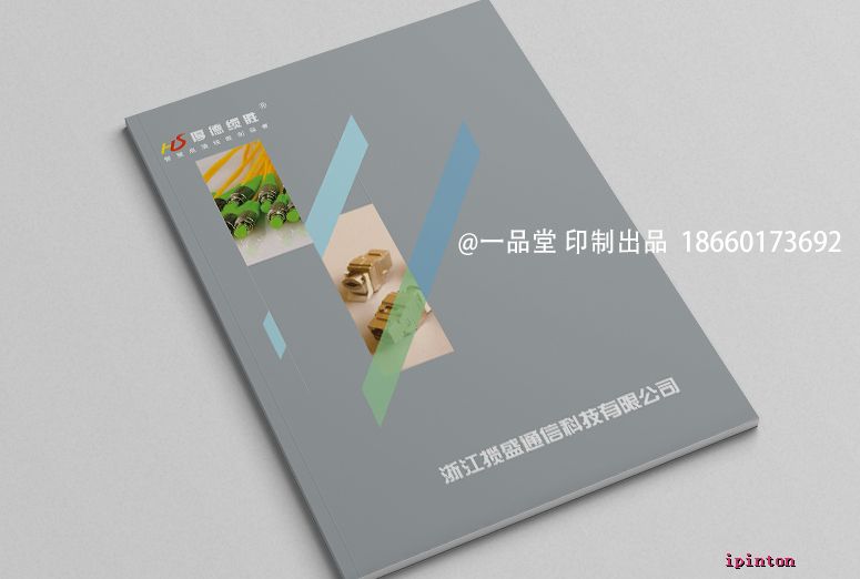 揽胜科技