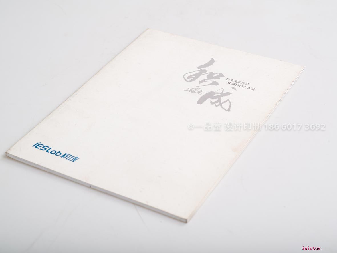 积成电子
