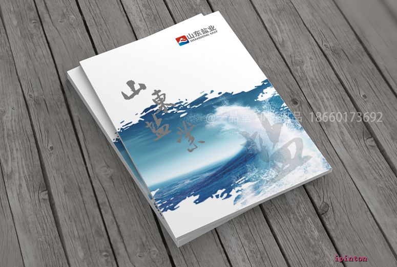 山东盐业